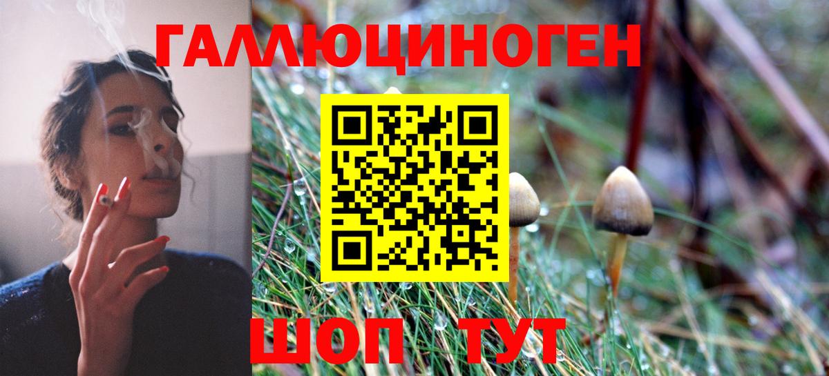 Псилоцибиновые грибы Cubensis Алушта