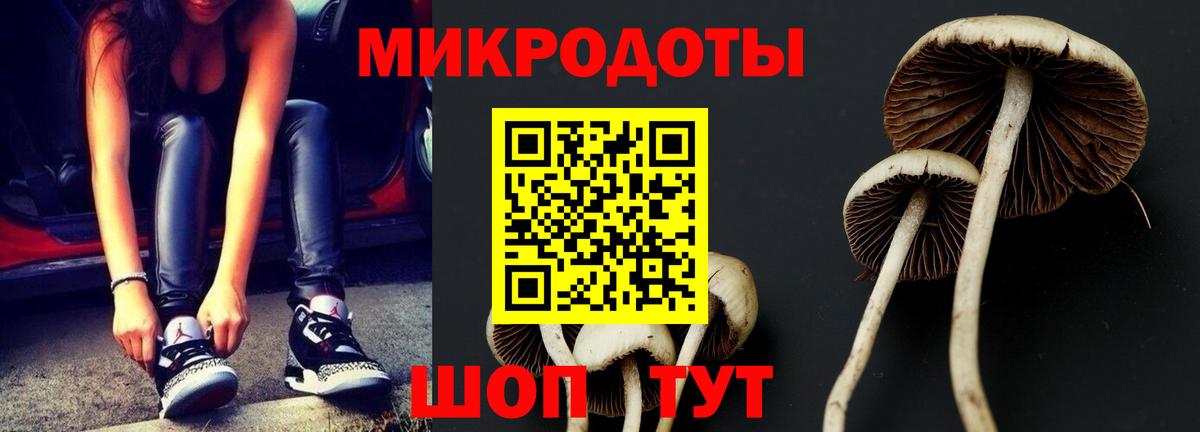 цена наркотик  Галлюциногенные грибы Psilocybine cubensis  Вход с VPN  Алушта 